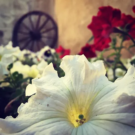 Ξενοδοχείο Helios Cave Kapadokya