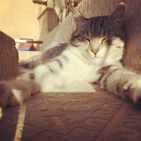 Ξενοδοχείο Helios Cave Kapadokya Ουργκούπ