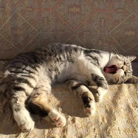 Helios Cave Kapadokya 4* Ουργκούπ