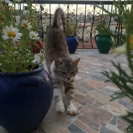 Helios Cave Hotel 4* Ürgüp