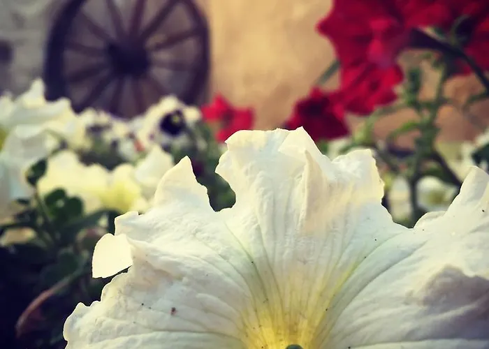 Отель Helios Cave Hotel