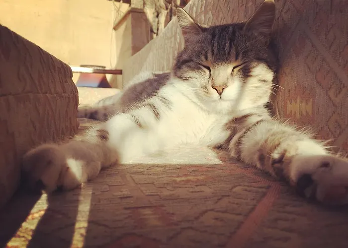 Отель Helios Cave Hotel Ургуп