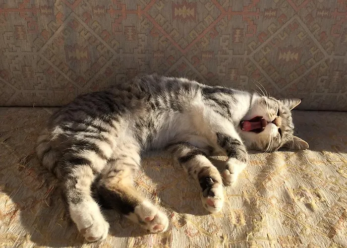 Helios Cave Hotel 4* Ургуп