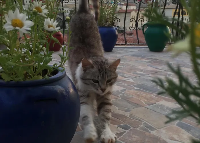 Helios Cave Hotel 4* Ургуп